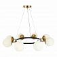 Подвесная люстра Evoluce FORLI SLE220403-08 - фото №3