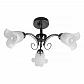 Потолочная люстра Toplight Magdalene TL3490X-03BC - фото №1