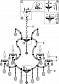 Подвесная люстра Maytoni Doris DIA881-PL-15-G - фото №4