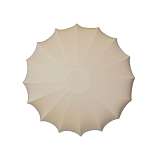 Потолочный светильник TopDecor Muse AP4 10 09s