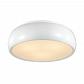 Потолочный светильник Lumion Moderni Timo 4413/3C - фото №1
