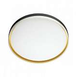 Настенно-потолочный светодиодный светильник Sonex Savi 7619/DL