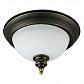 Потолочный светильник Arte Lamp Bonito A9518PL-2BA - фото №1