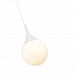 Подвесной светильник Maytoni Dewdrop P225-PL-200-N - фото №3