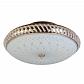 Накладной светильник Toplight Loreen TL1491Y-04GC - фото №1