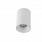 Потолочный светильник Crystal Lux CLT 411C WH-WH - фото №1