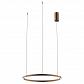 Подвесной светодиодный светильник Kink Light Тор 08213,04P - фото №1
