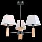 Подвесная люстра Illumico IL0026-3PSQ-19 BK WD - фото №1