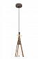 Подвесной светильник Arte Lamp Caravella A8328SP-1BR - фото №1