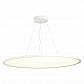 Подвесной светодиодный светильник ST Luce ST602.543.120 - фото №1