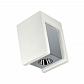 Потолочный светодиодный светильник Loft IT Architect OL1073-WН - фото №1