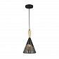 Подвесная люстра Seven Fires Noema SF3327/1P-BK-WD - фото №1