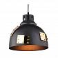 Подвесной светильник Arte Lamp Eurica A6024SP-1BK - фото №2