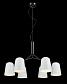 Подвесная люстра Crystal Lux ENRIQUE SP6 BLACK/WHITE - фото №2