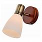 Спот Toplight Sharyl TL3720Y-01BB - фото №1