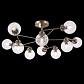 Потолочная люстра Freya Daisy FR5041PL-10BS - фото №3