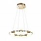 Подвесная светодиодная люстра Odeon Light Conti 4105/64L - фото №1