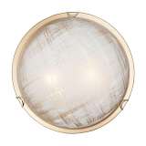 Настенно-потолочный светильник Vitaluce V6396/2A