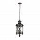 Уличный подвесной светильник Odeon Light Nature Sation 4045/3 - фото №1
