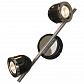 Спот Lussole Tivoli LSN-3121-02 - фото №1