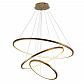 Подвесной светодиодный светильник Loft IT Ring 10015/3 - фото №2