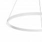 Подвесной светодиодный светильник Maytoni Rim MOD058PL-L42W4K - фото №2