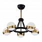 Потолочная люстра Freya Silvia FR5009PL-05B - фото №1