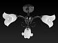 Потолочная люстра Toplight Magdalene TL3490X-03BC - фото №3