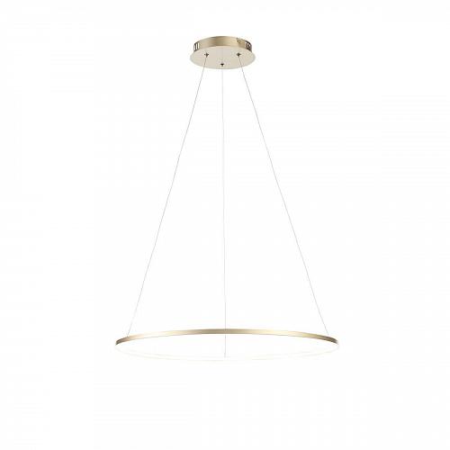 Подвесной светодиодный светильник ST Luce Erto SL904.213.01