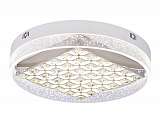 Потолочный светодиодный светильник Ambrella light Ice FA151