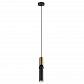 Подвесной светильник Lumien Hall Lien LH4137/1P-BR-BK - фото №1