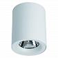 Потолочный светодиодный светильник Arte Lamp Facile A5112PL-1WH - фото №1