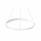 Подвесной светодиодный светильник Ambrella light Comfort Line FL5851 - фото №1