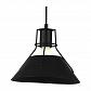 Подвесной светильник Arte Lamp A9347SP-1BK - фото №3