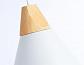 Подвесной светильник Ambrella light Traditional TR8195 - фото №2