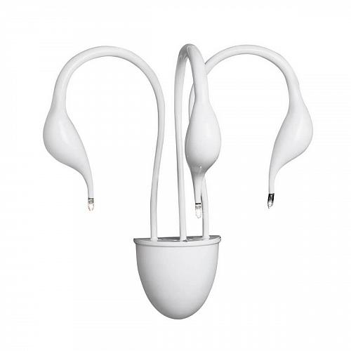 Бра Lightstar Cigno Collo Wt 751636