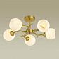 Потолочная люстра Lumion Comfi Giselle 4545/5C - фото №3