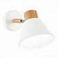 Спот Evoluce Buve SLE103701-01 - фото №1
