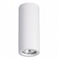 Потолочный светильник Odeon Light Gesso 3554/1C - фото №1