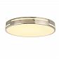 Потолочный светодиодный светильник F-Promo Pall 2744-2C - фото №1