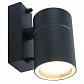 Уличный настенный светильник Arte Lamp Sonaglio A3302AL-1GY - фото №1