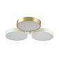 Потолочная светодиодная люстра Lumion Dilip 3646/60CL - фото №1