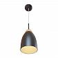 Подвесной светильник Loft IT Watchman Loft4402A-Bl - фото №2