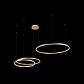 Подвесной светодиодный светильник Loft IT Ring 10017/3S - фото №4