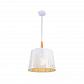 Подвесной светильник Maytoni Lantern MOD029-PL-01-W - фото №1