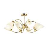 Потолочная люстра Lumion Comfi Darlene 4532/6C