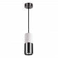 Подвесной светильник Odeon Light Duetta 3834/1 - фото №1