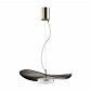 Подвесной светодиодный светильник Odeon Light Fluent 4859/13L - фото №1