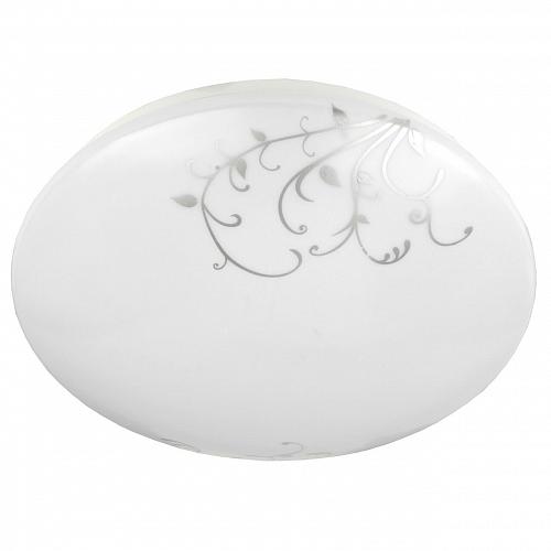 Настенно-потолочный светодиодный светильник ЭРА SPB-6-14-6,5K Vine Б0034982