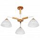 Потолочная люстра Arte Lamp Matthew A5032PL-3BR - фото №1